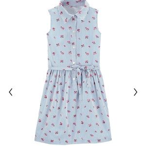 Girls Carter's Floral Striped Shirt Dress*